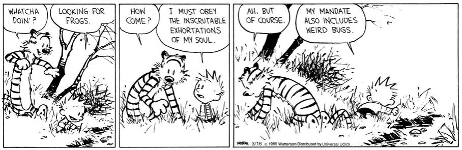 Pasted image 20260203101338